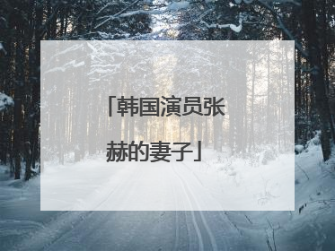 韩国演员张赫的妻子