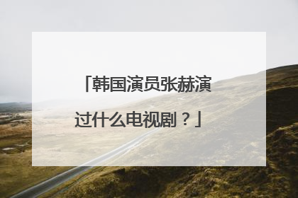韩国演员张赫演过什么电视剧?