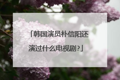 韩国演员朴信阳还演过什么电视剧?