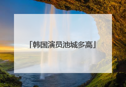 韩国演员池城多高
