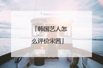 韩国艺人怎么评价宋茜