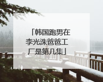 韩国跑男在李光洙爸爸工厂是第几集