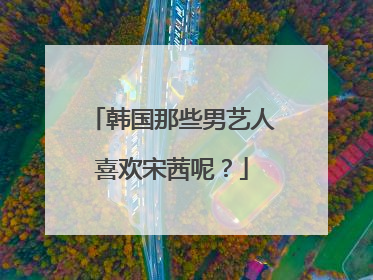 韩国那些男艺人喜欢宋茜呢?