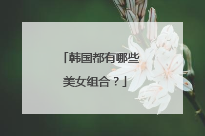 韩国都有哪些美女组合？