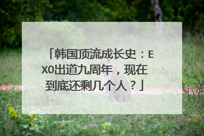 韩国顶流成长史:EXO出道九周年,现在到底还剩几个人?