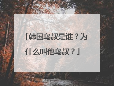 韩国鸟叔是谁?为什么叫他鸟叔?