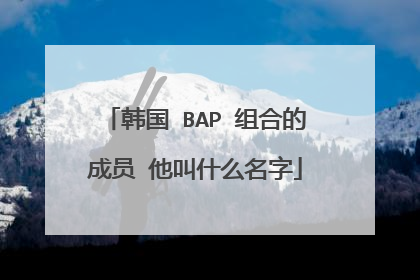 韩国 BAP 组合的成员 他叫什么名字