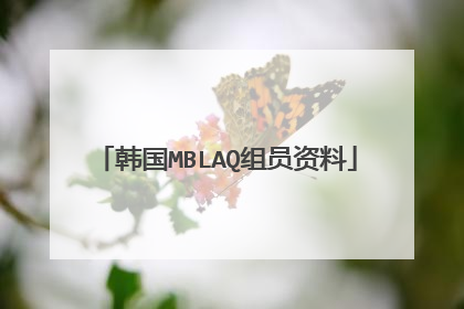 韩国MBLAQ组员资料