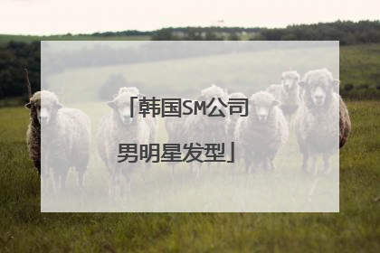 韩国SM公司男明星发型