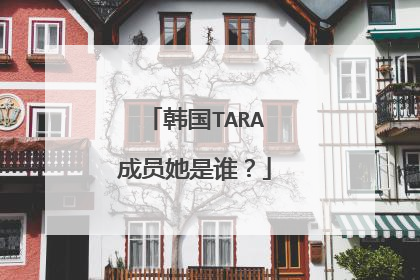 韩国TARA成员她是谁?