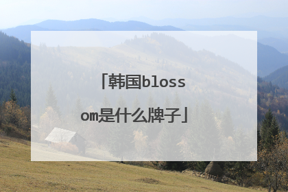韩国blossom是什么牌子