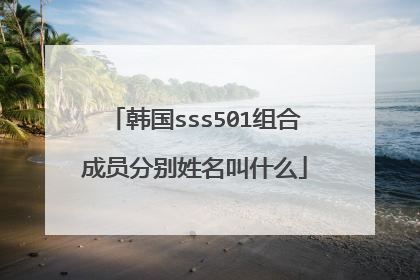 韩国sss501组合成员分别姓名叫什么