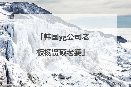 韩国yg公司老板杨贤硕老婆