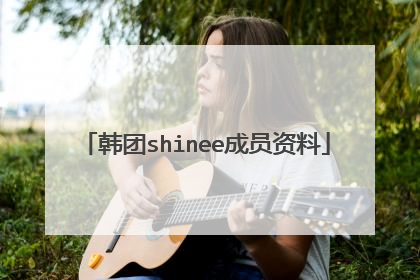 韩团shinee成员资料
