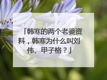韩寒的两个老婆资料，韩寒为什么叫刘伟、甲子格？
