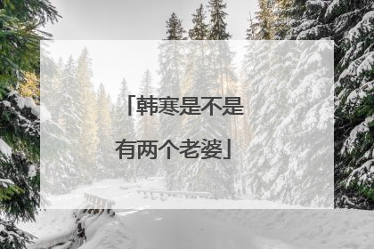 韩寒是不是有两个老婆