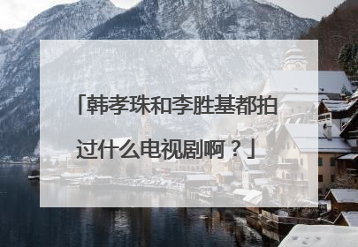 韩孝珠和李胜基都拍过什么电视剧啊?