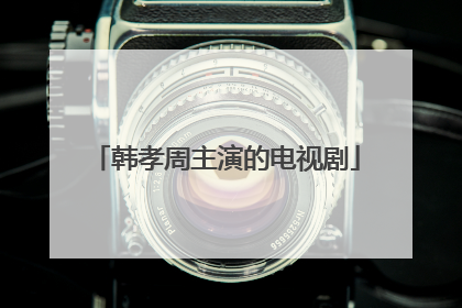 韩孝周主演的电视剧