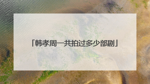 韩孝周一共拍过多少部剧