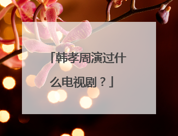 韩孝周演过什么电视剧？