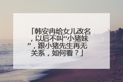 韩安冉给女儿改名，以后不叫“小猪妹”，跟小猪先生再无关系，如何看？
