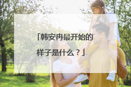 韩安冉最开始的样子是什么？
