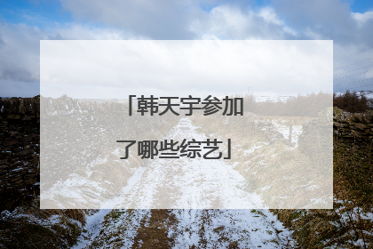 韩天宇参加了哪些综艺