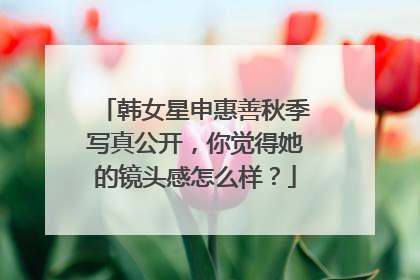 韩女星申惠善秋季写真公开,你觉得她的镜头感怎么样?