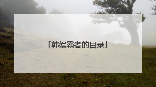 韩娱霸者的目录