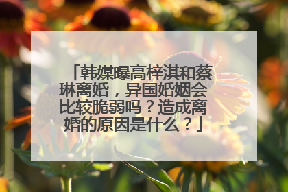 韩媒曝高梓淇和蔡琳离婚，异国婚姻会比较脆弱吗？造成离婚的原因是什么？