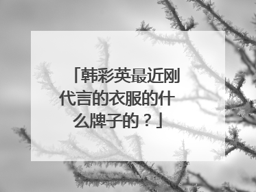 韩彩英最近刚代言的衣服的什么牌子的?