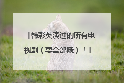 韩彩英演过的所有电视剧(要全部哦)!