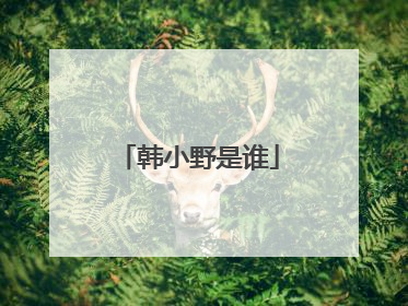 韩小野是谁