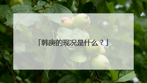 韩庚的现况是什么？