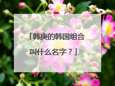 韩庚的韩国组合叫什么名字？
