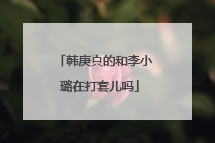 韩庚真的和李小璐在打套儿吗