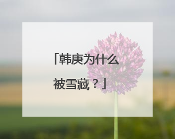 韩庚为什么被雪藏?