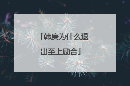 韩庚为什么退出至上励合