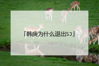 韩庚为什么退出SJ