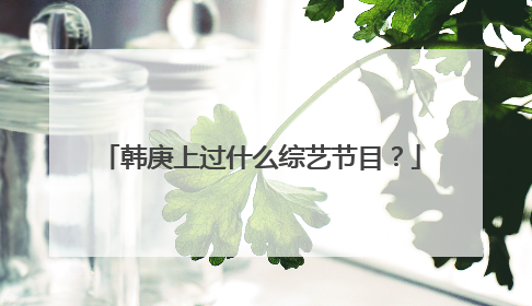 韩庚上过什么综艺节目?