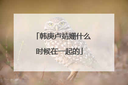 韩庚卢靖姗什么时候在一起的