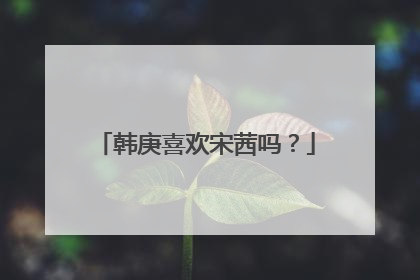 韩庚喜欢宋茜吗？