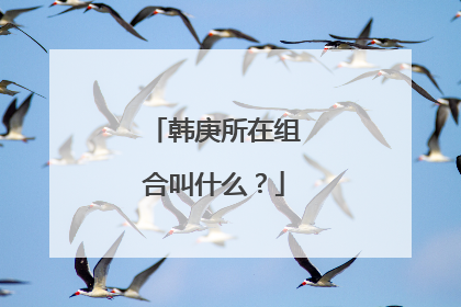 韩庚所在组合叫什么？