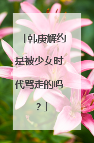 韩庚解约是被少女时代骂走的吗?
