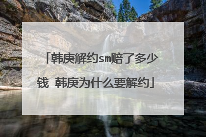 韩庚解约sm赔了多少钱 韩庚为什么要解约