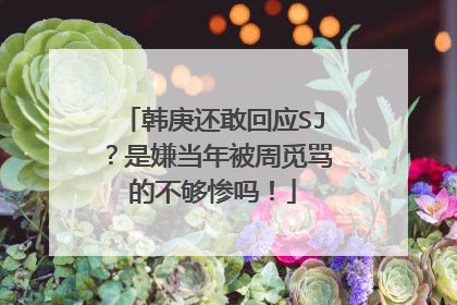 韩庚还敢回应SJ？是嫌当年被周觅骂的不够惨吗！