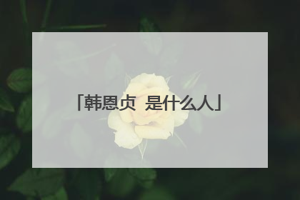 韩恩贞 是什么人