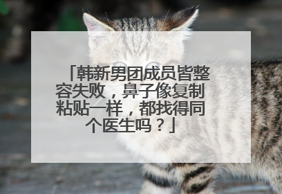 韩新男团成员皆整容失败，鼻子像复制粘贴一样，都找得同个医生吗？