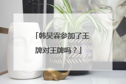 韩昊霖参加了王牌对王牌吗?