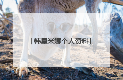 韩星米娜个人资料